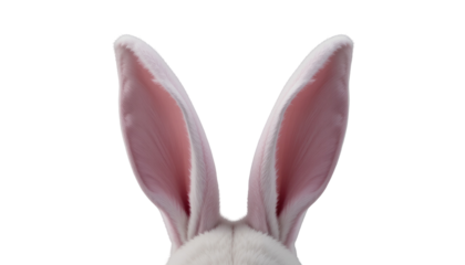 Detailed Digital Illustration of Pink Rabbit Ears from Front View isolated on transparent background