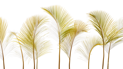 Golden palm fronds with ethereal glowing swirls abstract nature botanical fantasy art