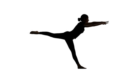 Silhouette of a woman performing a warrior three yoga pose