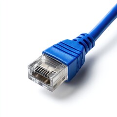 Close-up of a blue network cable connector (1)