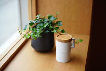 Fototapeta premium A plant in a pot on a table by the window with a natural and decorative feel