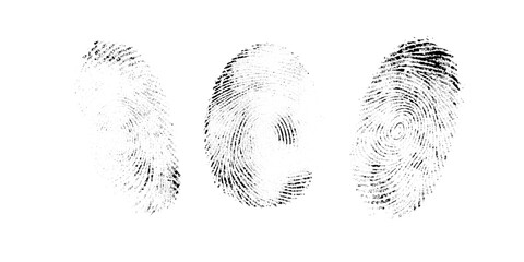Vector black fingerprint background. Detailed fingerprint on grunge background symbolizing identity verification.
