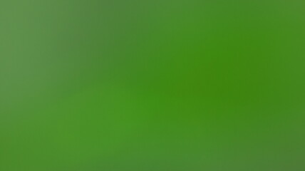 Solid emerald wash over smooth green canvas, abstract minimal backdrop with vibrant tonal consistency and clean visual field banner and header background