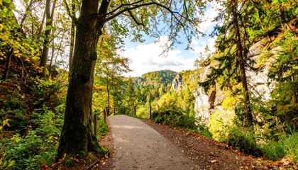 Autumn forest path through rocks