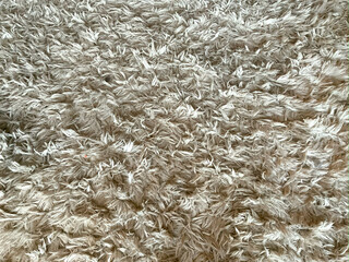 A shag carpet on the floor - textural