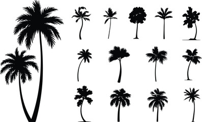 Silhouette Collection of Various Palm Trees Isolated on White Background for Tropical, Summer, Vacation, Nature, Landscape, and Design Themes