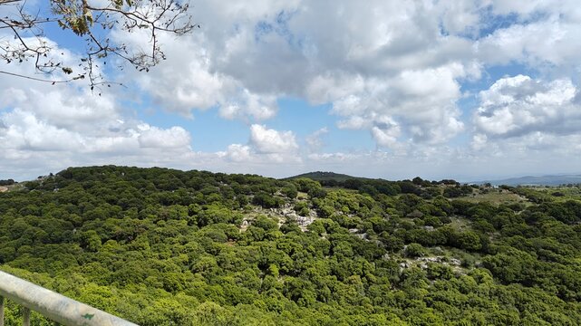 A lush green forest spreads across rolling hills under a sky dotted with expressive clouds. Captured in Israel, this landscape evokes freshness, clarity, and connection to nature's quiet rhythm.
