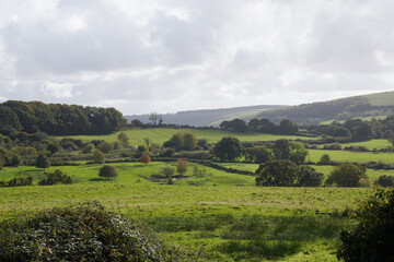 rural scene overlooking rolling countryside fields in autumn. green meadow landscape 