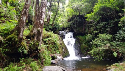 Serene Waterfall Surrounded by Lush Green Forest and Rocks