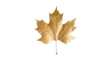 Golden maple leaf isolated on transparent background