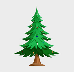 The pine tree, widely used for Christmas