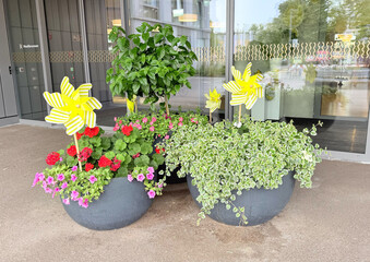 Outdoor planters with flowers and yellow pinwheels at building entrance, front view with glass...