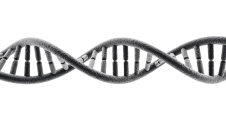DNA double helix structure in monochrome on plain background  