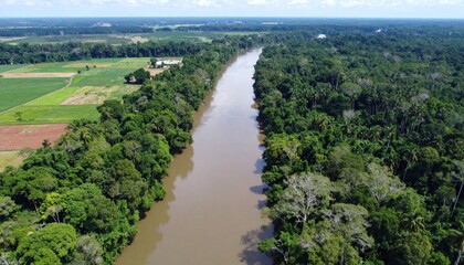 Aerial View of Serene River Flowing Through Lush Tropical Forest