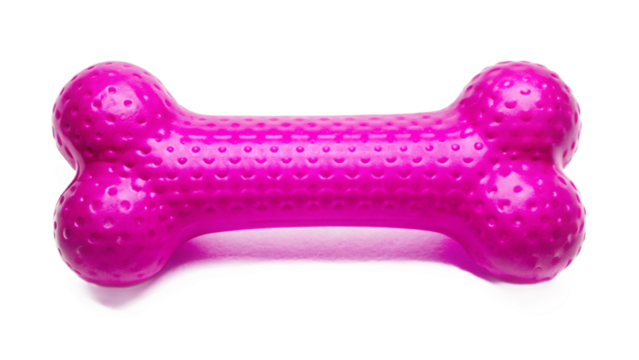 toy dog isolated on white