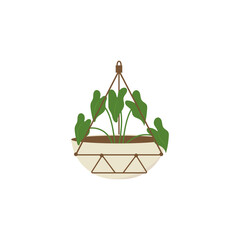 Hanging Plant Illustration