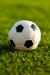 Fototapeta premium Soccer Ball on Field