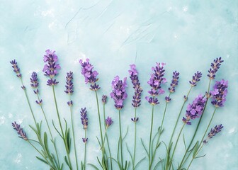 Flat Lay Lavender Flowers on Pastel Background