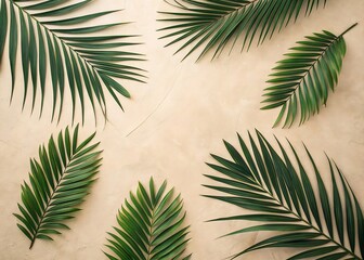 Flat Lay Tropical Palm Leaves on Beige Background