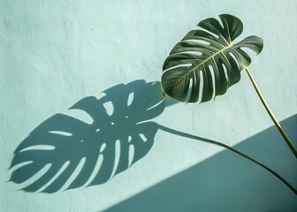 White Pebbles Arranged on Flat Neutral Background