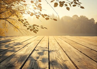 Wooden Plank Background with Soft Natural Shadows