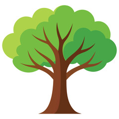 Obraz premium Detailed vector illustration of a deciduous tree in autumn colors