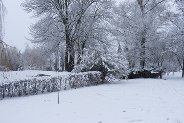 Obraz premium Winter Wonderland Scene with Fresh Snow Covering the Ground