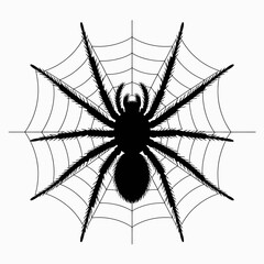 Obraz premium Silhouette of a large spider on a detailed spiderweb against a white background