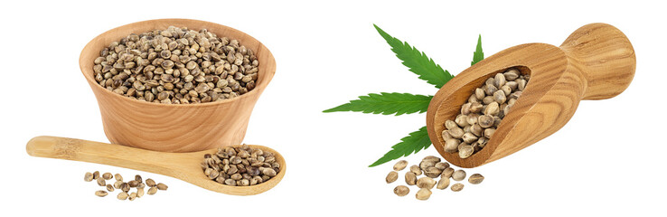 Hemp seeds in wooden bowl and scoop isolated on white background with full depth of field