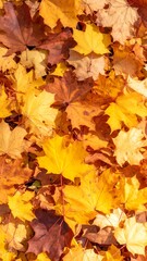 Fototapeta premium Autumn leaves carpet