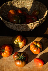 organic ripe tomatoes freshly picked