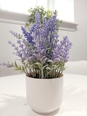purple lavender flowers in pot on white table