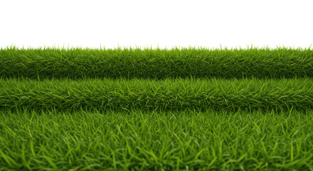 Four distinct horizontal layers of lush green grass, emerald to lime, on a transparent background with soft high-key studio light. Concept of sustainable growth and organic progress