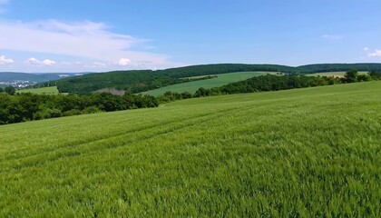 Obraz premium Expansive green field, rolling hills, blue sky