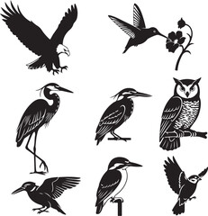 A Collection of Black and White Bird Silhouettes Featuring an Eagle, Hummingbird, Heron, Owl and Kingfisher Illustrations