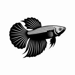 Fototapeta premium Elegant black and white illustration of a betta fish