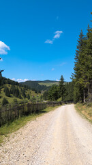 Gravel road winding through scenic mountain valley in Romania