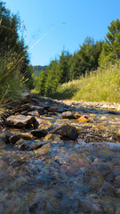 Pure mountain stream flowing through rocks and vegetation