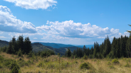Breathtaking mountain landscape with lush meadows and pine trees under cloudy sky