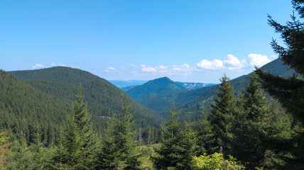 Lush green valley and mountains dominating the landscape under blue sky