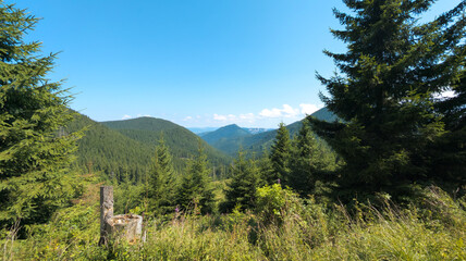 Lush green valley and mountains dominating the landscape under blue sky