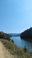 Scenic dirt road winding along lake shore surrounded by lush green forest