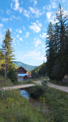 Wooden bridge crossing a stream leading to a mountain chalet