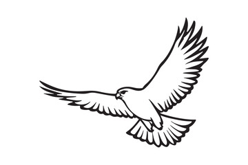 Majestic hawk soaring with wings spread wide in flight