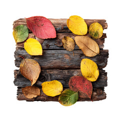 Autumnal array: Colorful leaves beautifully arranged on weathered wooden logs