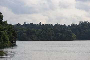 Calm Lake with Green Forest under Cloudy Sky