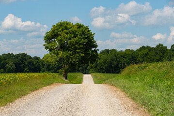 Rural country road.
