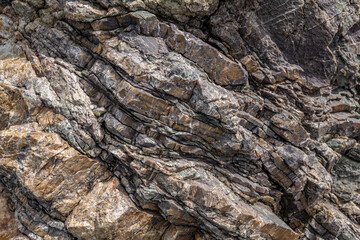 Chert / sedimentary rock. commonly with thin interlayers of reddish-brown shale, graywacke and greenstone. Coyote Point Beach, San Mateo, California. San Francisco Peninsula. San Francisco Bay 
