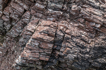 Chert / sedimentary rock. commonly with thin interlayers of reddish-brown shale, graywacke and greenstone. Coyote Point Beach, San Mateo, California. San Francisco Peninsula. San Francisco Bay 
