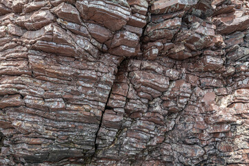 Chert / sedimentary rock. commonly with thin interlayers of reddish-brown shale, graywacke and greenstone. Coyote Point Beach, San Mateo, California. San Francisco Peninsula. San Francisco Bay 
